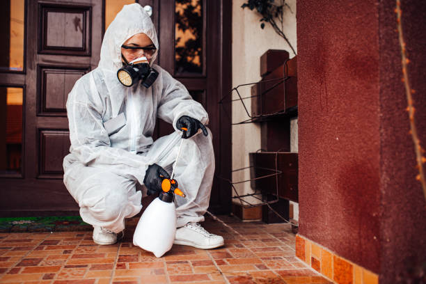 Reliable Bed Bug Control contractor in Fruit Heights, UT by Nex Pest Control